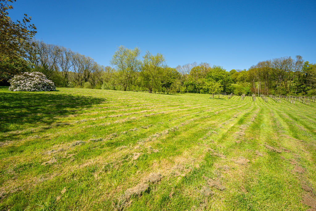 Grounds- click for photo gallery